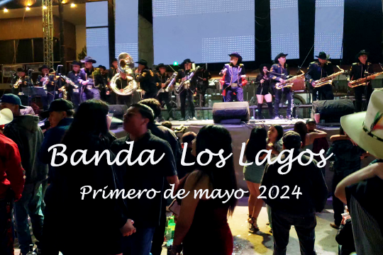 Fiesta 2024